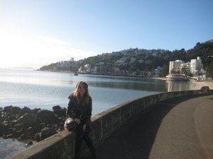 The waterfront in Wellington